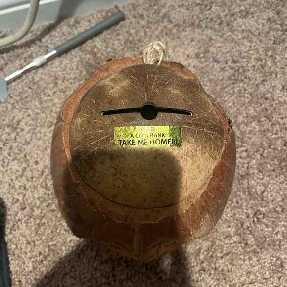 Coconut - Picture 2 of 2